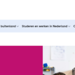 Screenshot van de bronpagina Meertaligheid als brug naar gelijke kansen